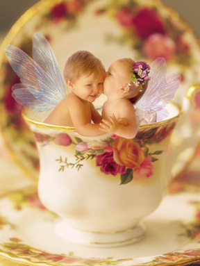 ��� ���� ���� ��� �������